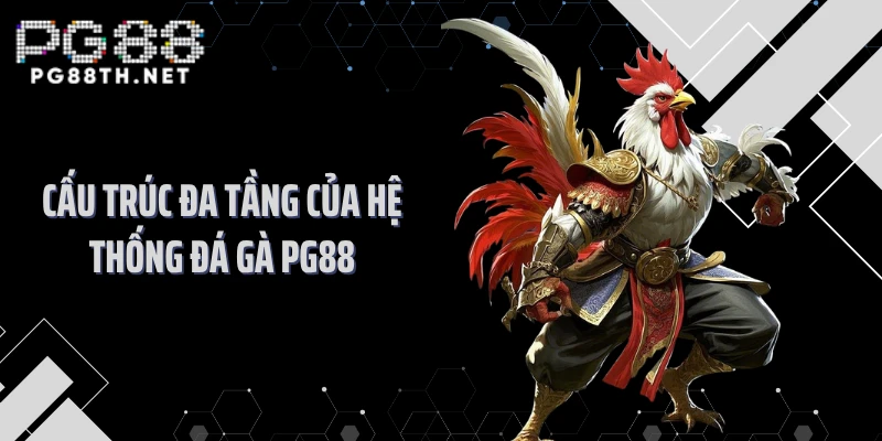 Cấu trúc đa tầng của hệ thống đá gà PG88 