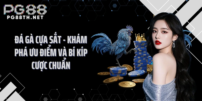 Đá Gà Cựa Sắt - Khám Phá Ưu Điểm Và Bí Kíp Cược Chuẩn