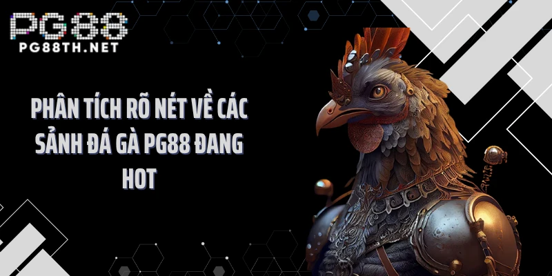 Phân tích rõ nét về các sảnh đá gà PG88 đang hot