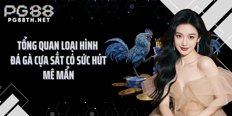 Tổng quan loại hình đá gà cựa sắt có sức hút mê mẩn