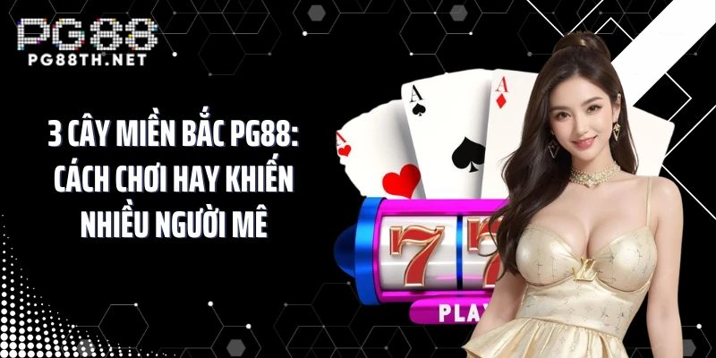 3 Cây Miền Bắc PG88: Cách Chơi Hay Khiến Nhiều Người Mê