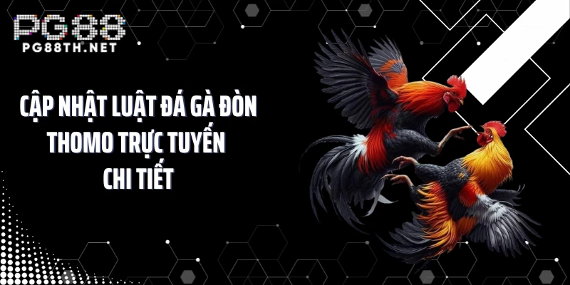 Cập nhật luật đá gà đòn Thomo trực tuyến chi tiết